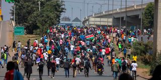 protesters 