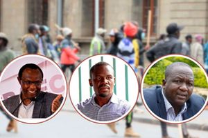 David Ndii