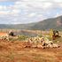 Meru Aggregation and Industrial Park
