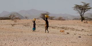 Drought