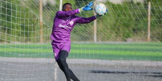 SALIM Pict