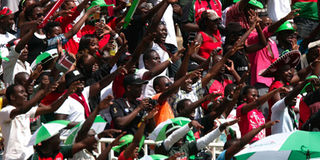 Rugby fans